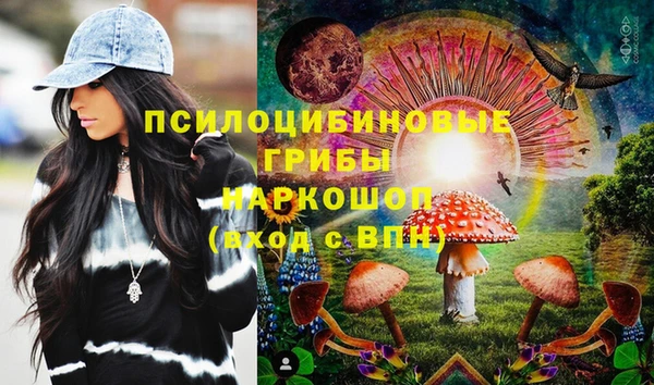 СК Козельск