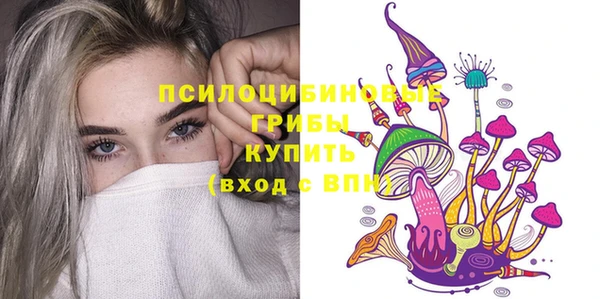 СК Козельск