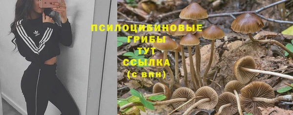 mdma Козловка