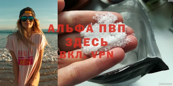 ПСИЛОЦИБИНОВЫЕ ГРИБЫ Корсаков